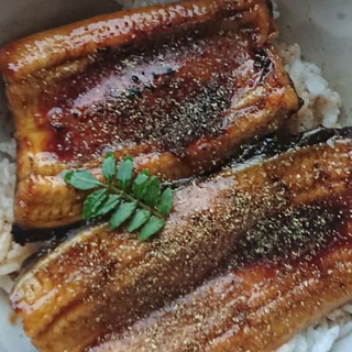 うなぎ釣り仲間募集でーす。