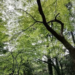 コーチングモニター募集