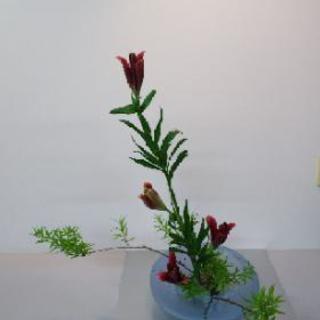華道二葉流（緑遊会）生け花、アレンジメント教室