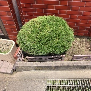 草刈り代行 知多半島の便利屋・おそうじ屋　ハートフル【常滑市、知多市、半田市、武豊町、美浜町、南知多町、東海市、阿久比町、東浦町】 − 愛知県