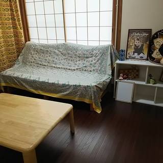 コミコミ料金、女性入居者募集