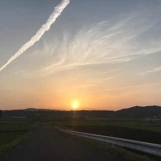 超簡単な農作業です(^^)の画像