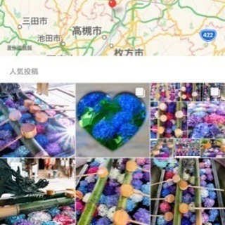 長岡京市の柳谷観音 楊谷寺行きませんか😆？