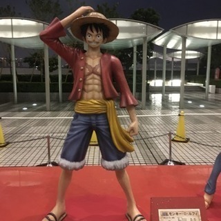 ワンピース好きな人