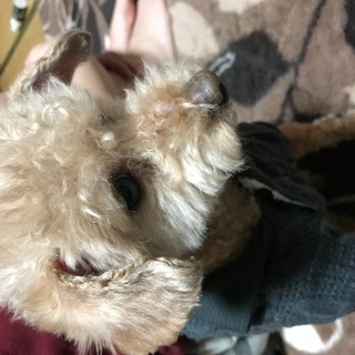 宜しくお願いします。