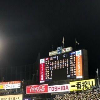 ヤクルトスワローズファンのぐるちゃメンバー募集 - 新宿区