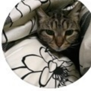 心優しい里親の方を探しています。