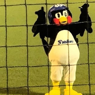 ヤクルトスワローズファンのぐるちゃメンバー募集 - 友達