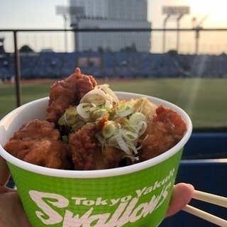 ヤクルトスワローズファンのぐるちゃメンバー募集 − 東京都