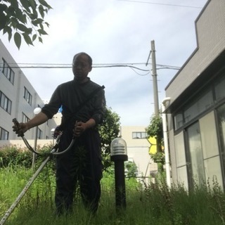 木の剪定 除草 庭の手入れ施工店（所沢市 狭山市 志木市 清瀬市〜）