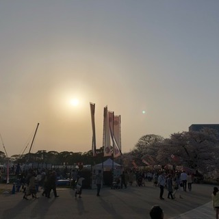 ⚾️朝活or夕活にキャッチボールしませんか？⚾️