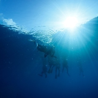 この夏に新しい世界を一緒に感じましょう！の画像