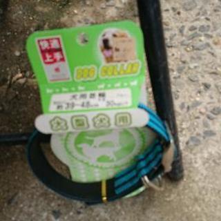値下げしました！大型犬用の首輪の画像