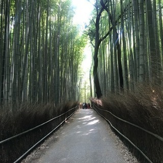 7月っ(^ ^)ランニングをしよう✨ − 京都府