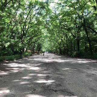 7月っ(^ ^)ランニングをしよう✨ - その他