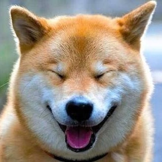 わんちゃん部🐶！