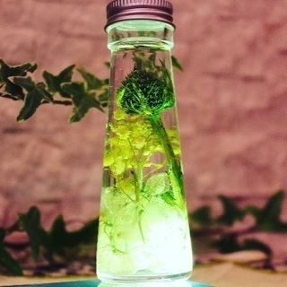 ❤️❤️ハーバリウム体験レッスン❤️❤️6月29日の画像