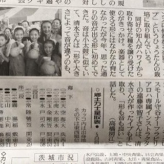 守谷市🍀楽しい子どものフラダンス🌺の画像