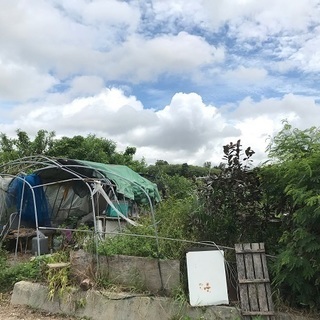 八重瀬町宜次・畑 - 島尻郡