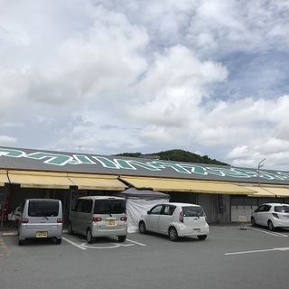 八重瀬町宜次・畑 − 沖縄県