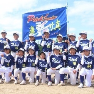 小学生ソフトボールチームメンバー募集！（明石市）
