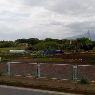 大きめな区画の畑をお貸しします♪ （貸し畑／貸し農園／レンタル畑