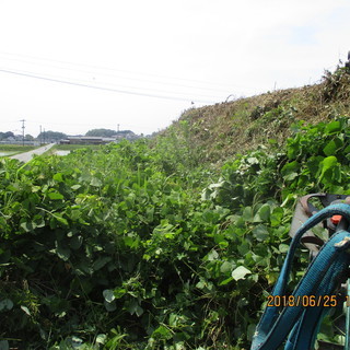福岡、、空き地、土場、ツル草刈、ミニユンボ、粉砕、格安、便利屋、 - 便利屋