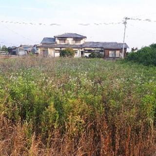 草刈りバイト募集中の画像