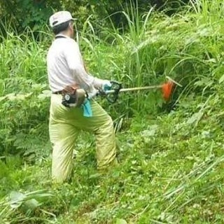 ご自宅などの草刈り見積り無料！