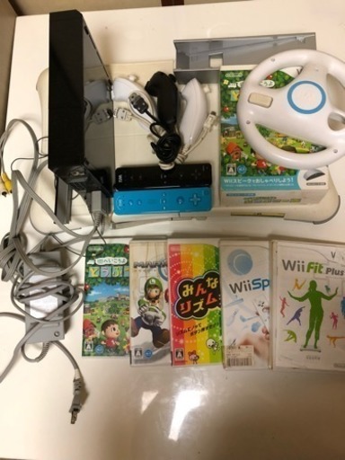 ブルー様 wii 本体 ソフト