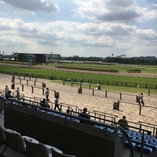 競馬のラインメンバー募集！