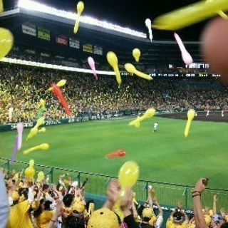 虎党友達、自称監督探してます！