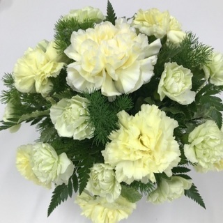 🎀昭和62、63年生まれ 同級生募集🎀