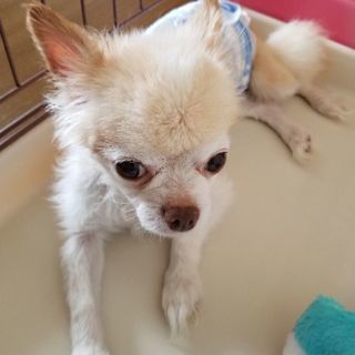 長期入院の為