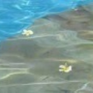 ヒルトンシーホークのナイトプール🎵