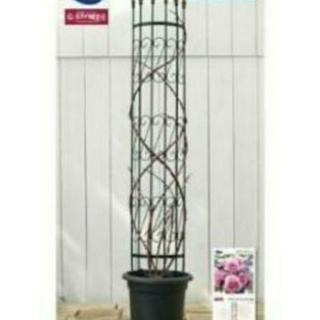 終了【未使用】園芸用トレリス2個セットの画像