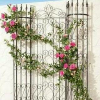 終了【未使用】園芸用トレリス2個セットの画像