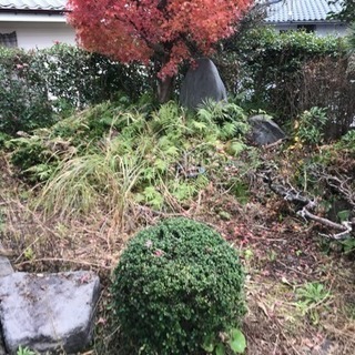 この時期にお庭のお手入れなどいかがでしょうか？