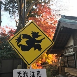 プチ登山 仲間！