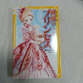 戦国姫シリーズ6冊と世界のプリンス+1冊追加値段据置！の画像