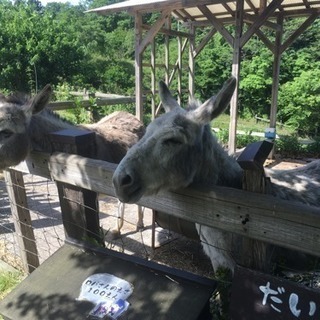 写真撮りに行きませんか？
