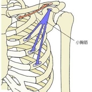 東京心霊現象研究所