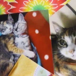 やっさ踊り‼ひげダンス