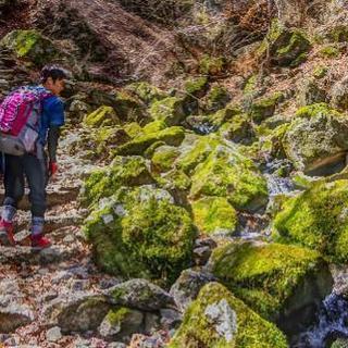 ゆる～～～い山登りしませんか？仲間募集中!!  - 青梅市