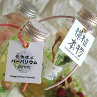 高槻・Happy Summer Collection！夏期限定ハーバリウム＆グラスジェルレッスンの画像