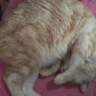 同性の友達募集♪