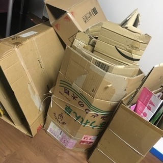 ダンボール運び(処分)