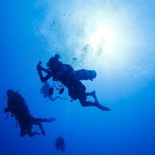 夏といえば海！海と言えば、ダイビング - スポーツ