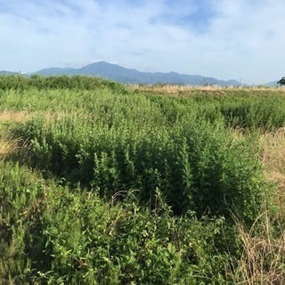 ⭐️くさかりズバット⭐️火災防止対策‼️