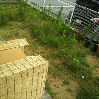 お庭の草抜き募集！！の画像